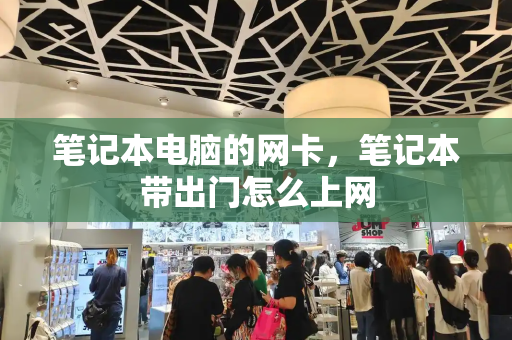 笔记本电脑的网卡，笔记本带出门怎么上网