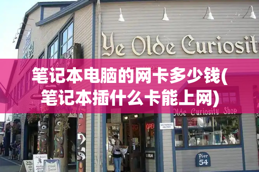 笔记本电脑的网卡多少钱(笔记本插什么卡能上网)-第1张图片-星选测评