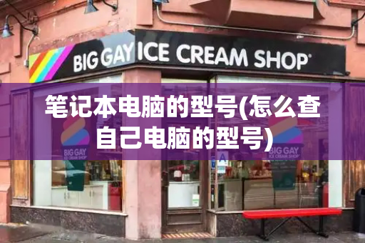 笔记本电脑的型号(怎么查自己电脑的型号)-第1张图片-星选测评