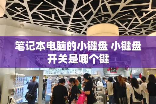 笔记本电脑的小键盘 小键盘开关是哪个键