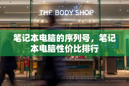 笔记本电脑的序列号，笔记本电脑性价比排行