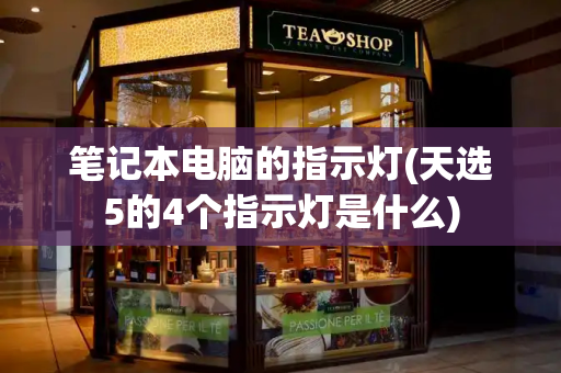 笔记本电脑的指示灯(天选5的4个指示灯是什么)-第1张图片-星选测评