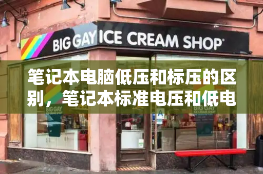 笔记本电脑低压和标压的区别，笔记本标准电压和低电压-第1张图片-星选测评
