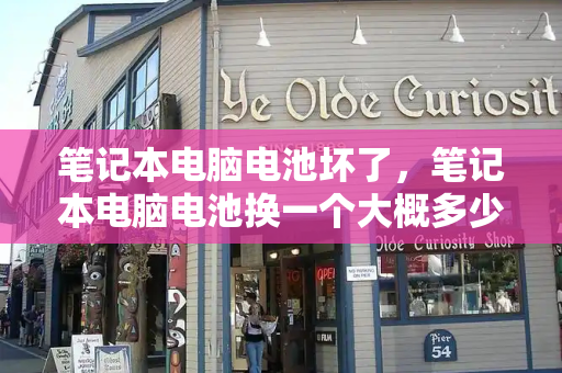 笔记本电脑电池坏了，笔记本电脑电池换一个大概多少钱-第1张图片-星选测评