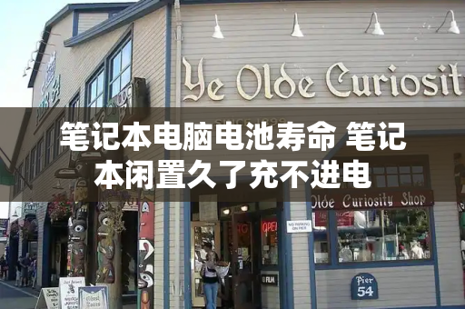 笔记本电脑电池寿命 笔记本闲置久了充不进电