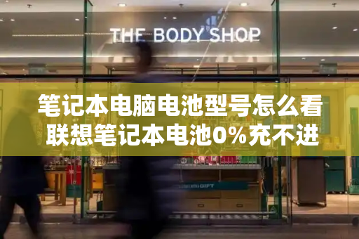 笔记本电脑电池型号怎么看 联想笔记本电池0%充不进电-第1张图片-星选测评