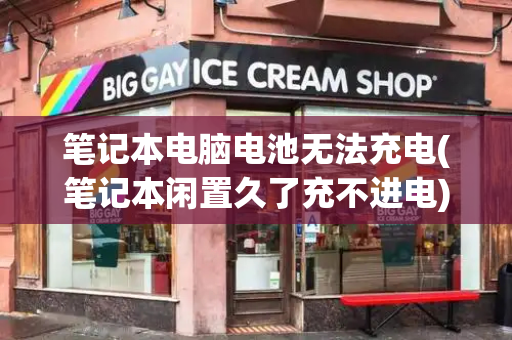 笔记本电脑电池无法充电(笔记本闲置久了充不进电)