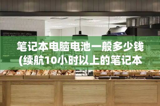 笔记本电脑电池一般多少钱(续航10小时以上的笔记本)