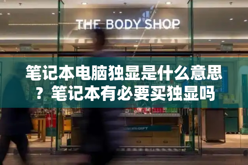 笔记本电脑独显是什么意思？笔记本有必要买独显吗-第1张图片-星选测评