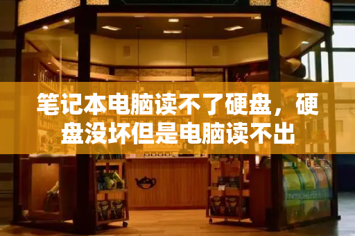 笔记本电脑读不了硬盘，硬盘没坏但是电脑读不出