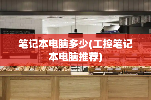 笔记本电脑多少(工控笔记本电脑推荐)-第1张图片-星选测评