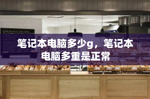 笔记本电脑多少g，笔记本电脑多重是正常-第1张图片-星选测评