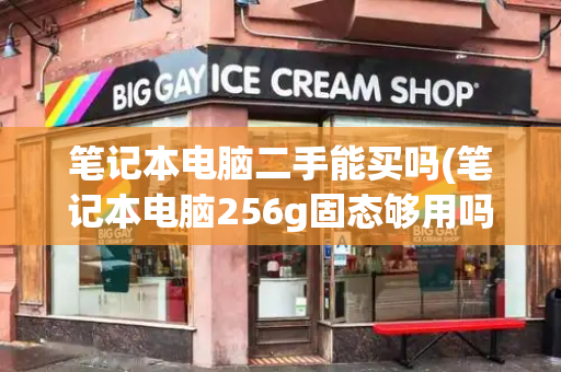 笔记本电脑二手能买吗(笔记本电脑256g固态够用吗)