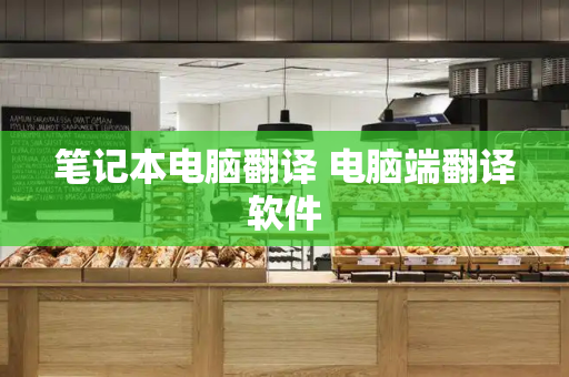 笔记本电脑翻译 电脑端翻译软件-第1张图片-星选测评