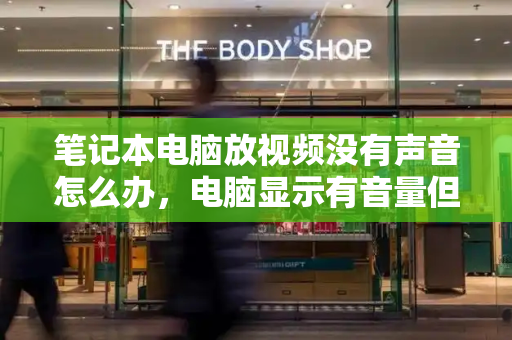 笔记本电脑放视频没有声音怎么办，电脑显示有音量但是没有声音