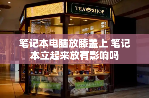 笔记本电脑放膝盖上 笔记本立起来放有影响吗