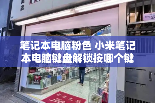 笔记本电脑粉色 小米笔记本电脑键盘解锁按哪个键-第1张图片-星选测评