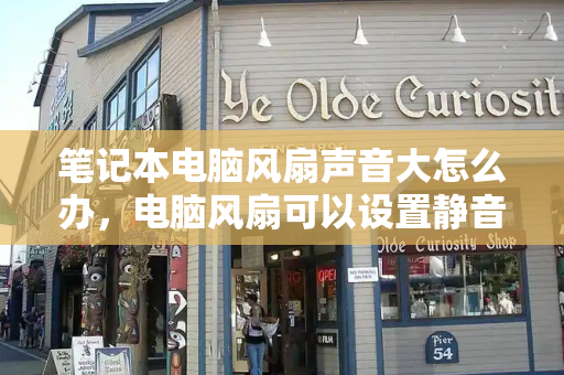 笔记本电脑风扇声音大怎么办，电脑风扇可以设置静音吗-第1张图片-星选测评