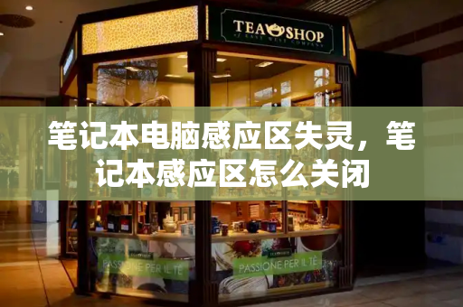 笔记本电脑感应区失灵，笔记本感应区怎么关闭-第1张图片-星选测评