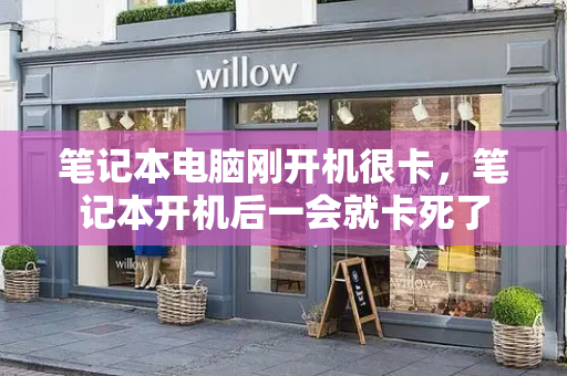 笔记本电脑刚开机很卡，笔记本开机后一会就卡死了-第1张图片-星选测评