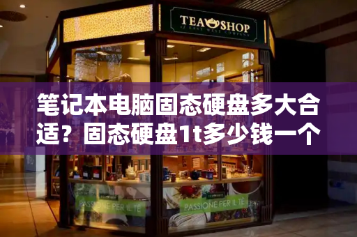 笔记本电脑固态硬盘多大合适？固态硬盘1t多少钱一个-第1张图片-星选测评