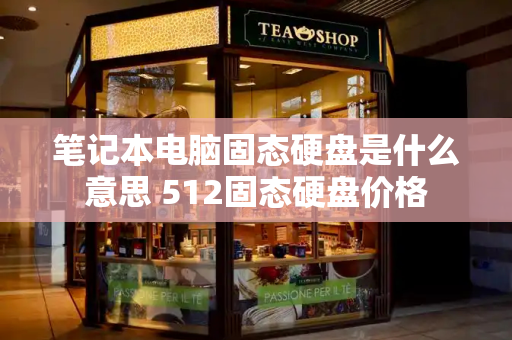 笔记本电脑固态硬盘是什么意思 512固态硬盘价格