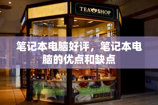 笔记本电脑好评，笔记本电脑的优点和缺点