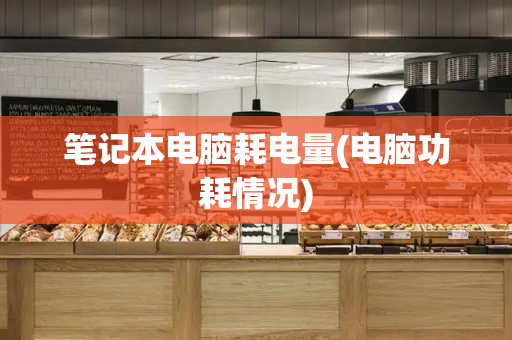笔记本电脑耗电量(电脑功耗情况)-第1张图片-星选测评