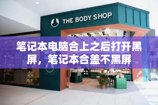 笔记本电脑合上之后打开黑屏，笔记本合盖不黑屏-第1张图片-星选测评
