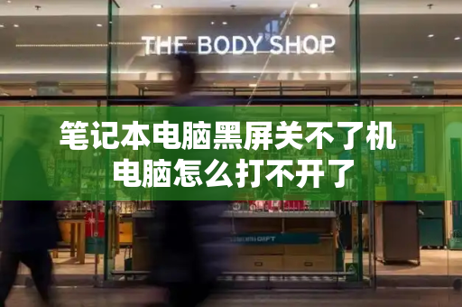 笔记本电脑黑屏关不了机 电脑怎么打不开了-第1张图片-星选测评