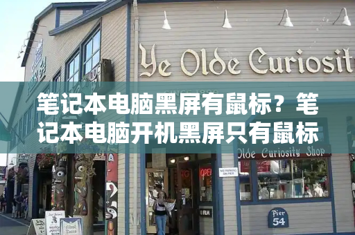 笔记本电脑黑屏有鼠标？笔记本电脑开机黑屏只有鼠标箭头-第1张图片-星选测评