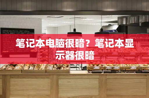 笔记本电脑很暗？笔记本显示器很暗