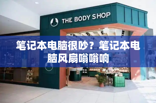 笔记本电脑很吵？笔记本电脑风扇嗡嗡响