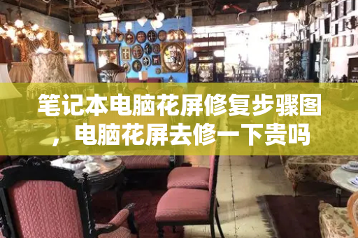 笔记本电脑花屏修复步骤图，电脑花屏去修一下贵吗-第1张图片-星选测评