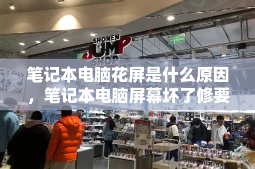 笔记本电脑花屏是什么原因，笔记本电脑屏幕坏了修要多少钱-第1张图片-星选测评
