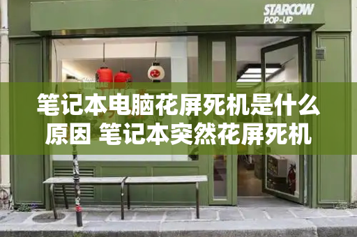 笔记本电脑花屏死机是什么原因 笔记本突然花屏死机