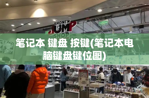 笔记本 键盘 按键(笔记本电脑键盘键位图)-第1张图片-星选测评