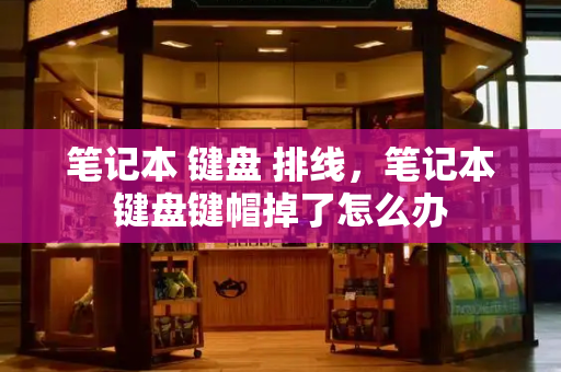 笔记本 键盘 排线，笔记本键盘键帽掉了怎么办-第1张图片-星选测评
