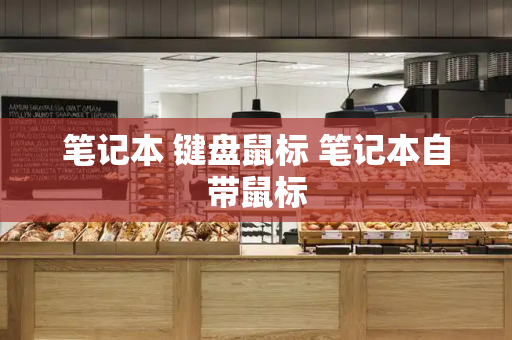 笔记本 键盘鼠标 笔记本自带鼠标