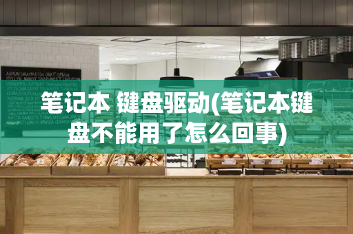 笔记本 键盘驱动(笔记本键盘不能用了怎么回事)