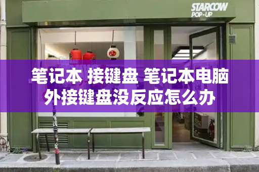 笔记本 接键盘 笔记本电脑外接键盘没反应怎么办
