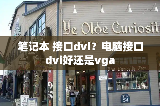 笔记本 接口dvi？电脑接口dvi好还是vga