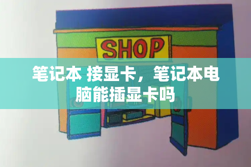 笔记本 接显卡，笔记本电脑能插显卡吗