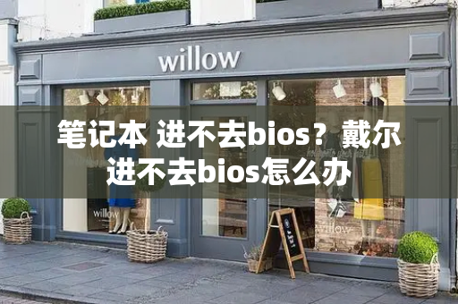 笔记本 进不去bios？戴尔进不去bios怎么办-第1张图片-星选测评