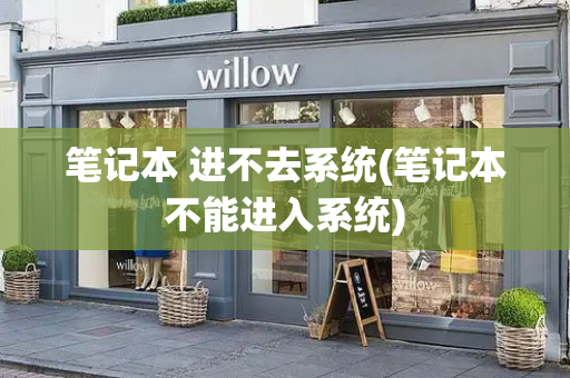 笔记本 进不去系统(笔记本不能进入系统)