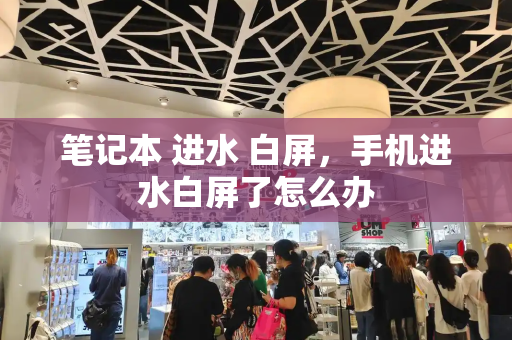 笔记本 进水 白屏，手机进水白屏了怎么办