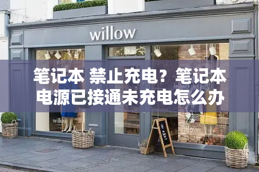 笔记本 禁止充电？笔记本电源已接通未充电怎么办-第1张图片-星选测评