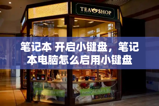 笔记本 开启小键盘，笔记本电脑怎么启用小键盘