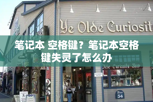 笔记本 空格键？笔记本空格键失灵了怎么办-第1张图片-星选测评