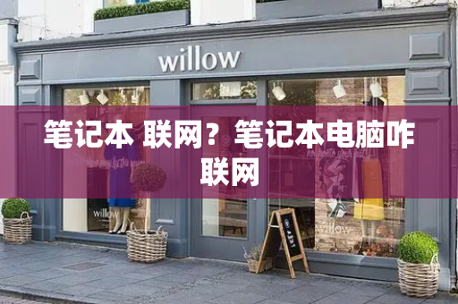 笔记本 联网？笔记本电脑咋联网